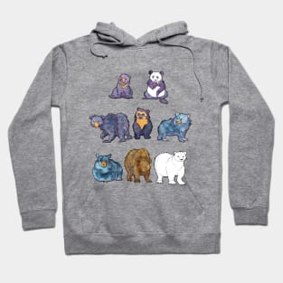 Bears Of the World Hoodie